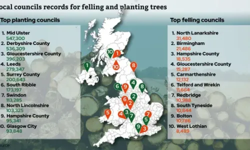 Local council records for tree felling and planting