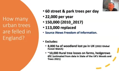 Annual tree losses are quite shocking