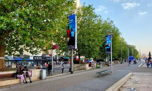 Trees under threat
